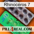 Rhinocéros 7 new04